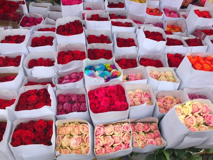Bogota Flower Market - Travel Squire