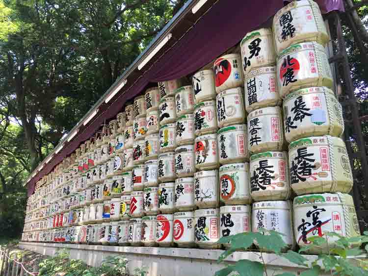 Meiji-Shrine-and-Yoyogi-Park