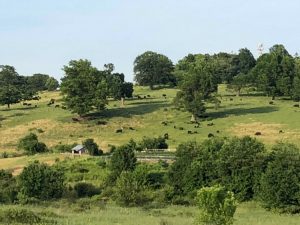 Gibbet Hill in Groton on TravelSquire