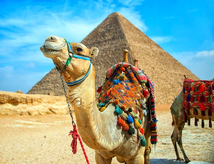 Egypt is one of TravelSquire's Top Destinations for 2019
