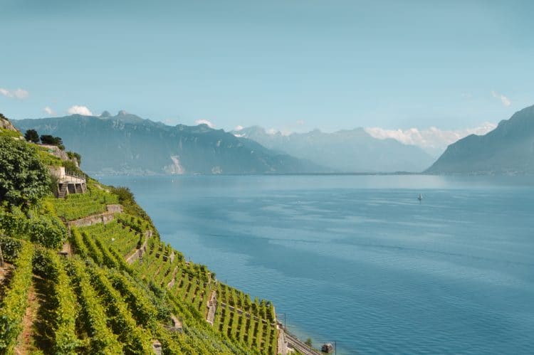 Swiss wine on TravelSquire.com