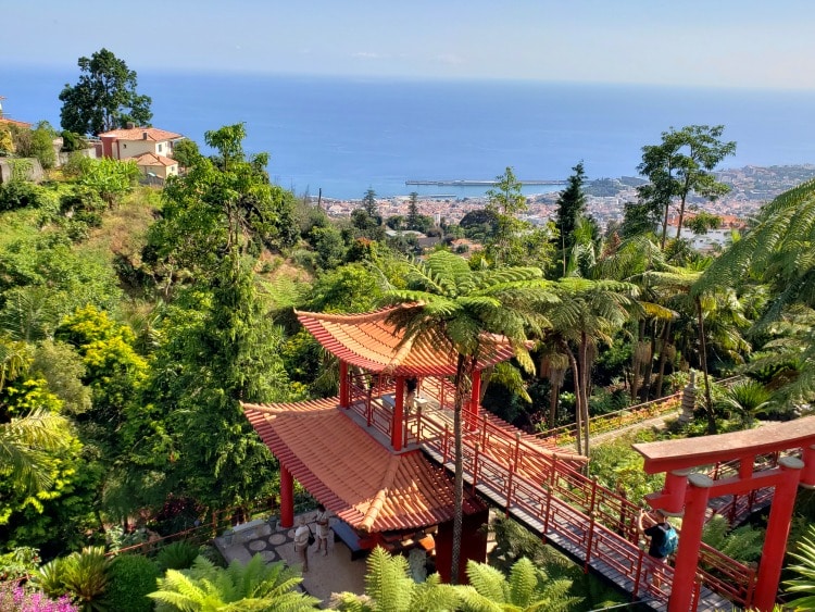 Visiting Madeira on TravelSquire