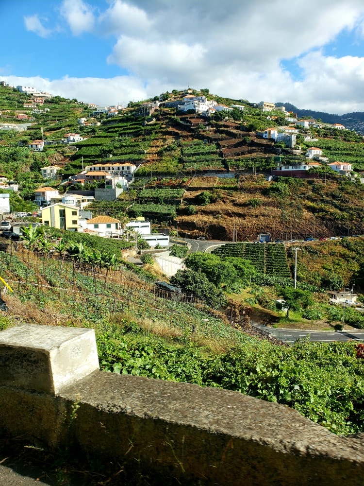 Visiting Madeira on TravelSquire