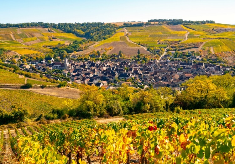 Highlights of Burgundy, France on TravelSquire