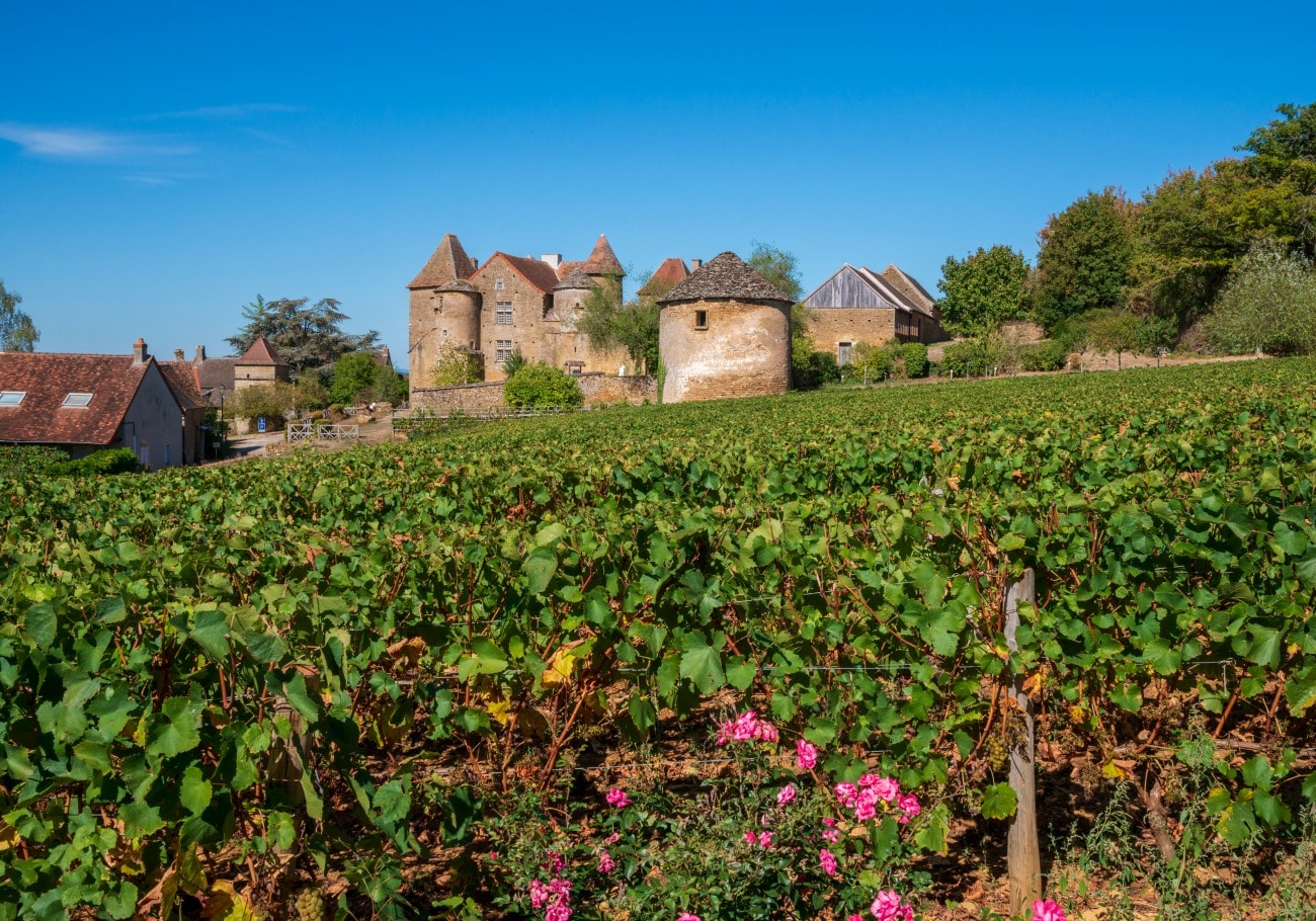 Highlights of Burgundy, France on TravelSquire