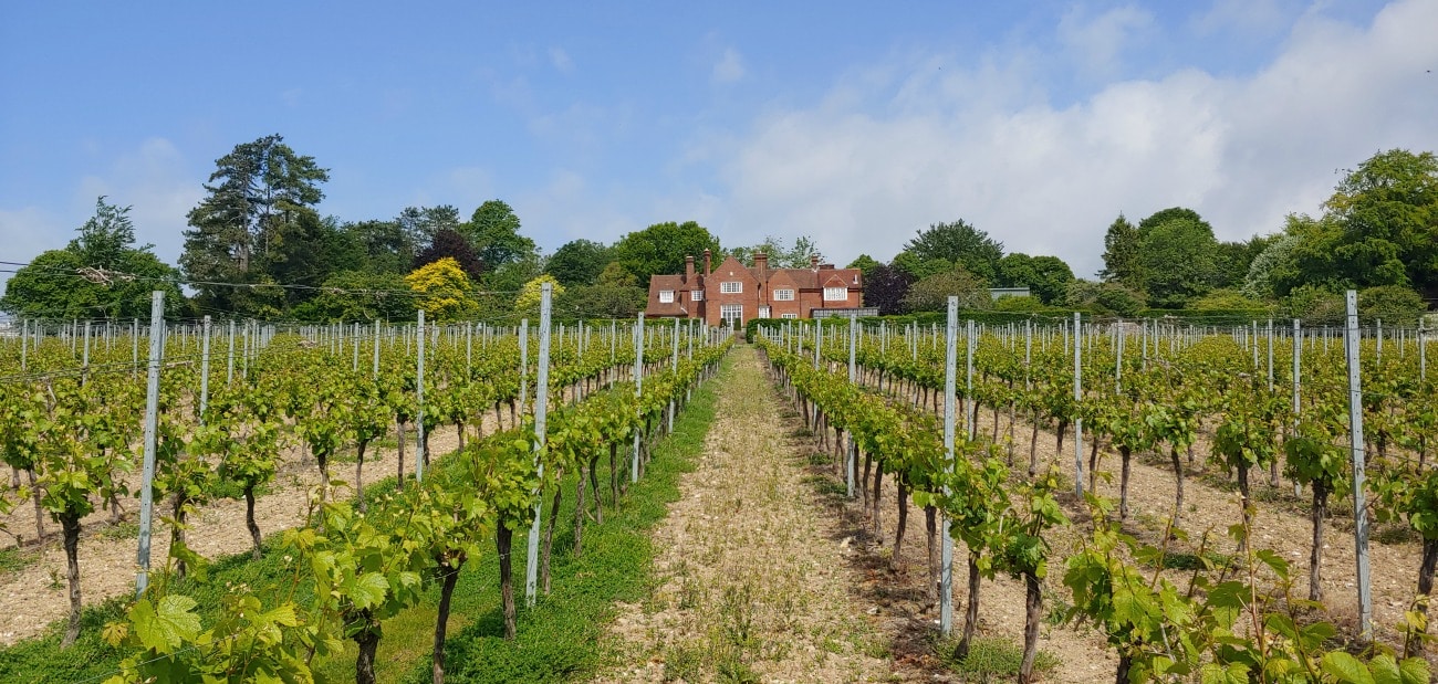 Hampshire England sparkling wines on TravelSquire