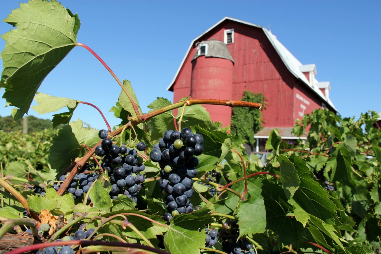 Wineries in Door County Wisconsin on TRavelSquire