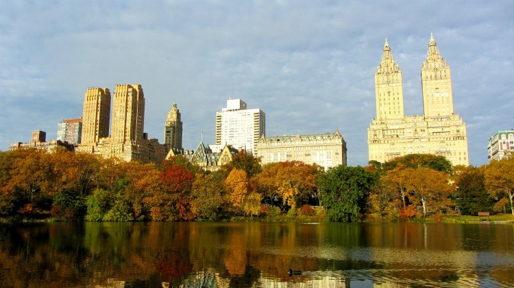 Central Park Views in fall on TravelSquire