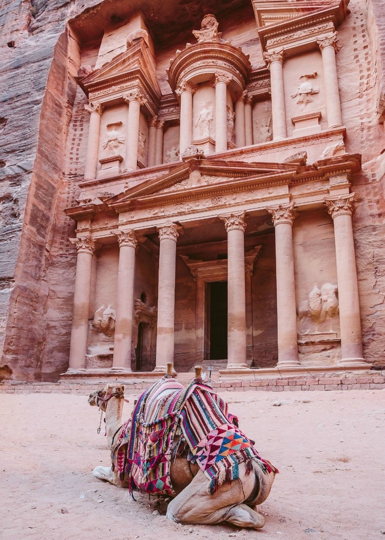 Camel at the Treasury in Petra on TravelSquire