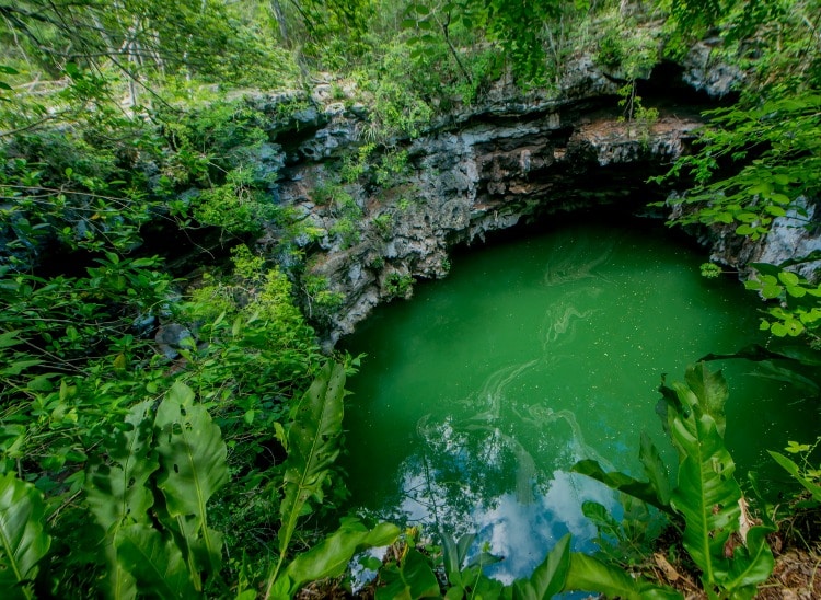 Cenotes are a Yucatan Highlight on TravelSquire