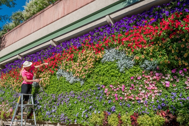 Living Wall Exterior at Little Nell on TravelSquire
