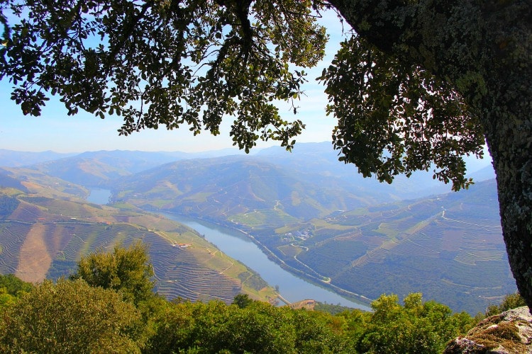 Douro Valley in top destinations for 2020 on TravelSquire