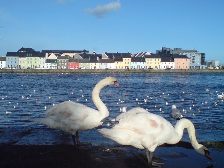 Swans on Claddagh in Top 28 2020 Newsworthy Destinations for TravelSquire