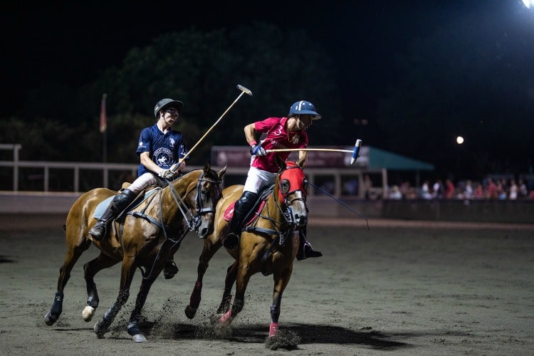 Polo at Great Meadow on TravelSquire