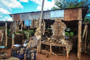 Benin is one of the top destinations for 2020 on TravelSquire