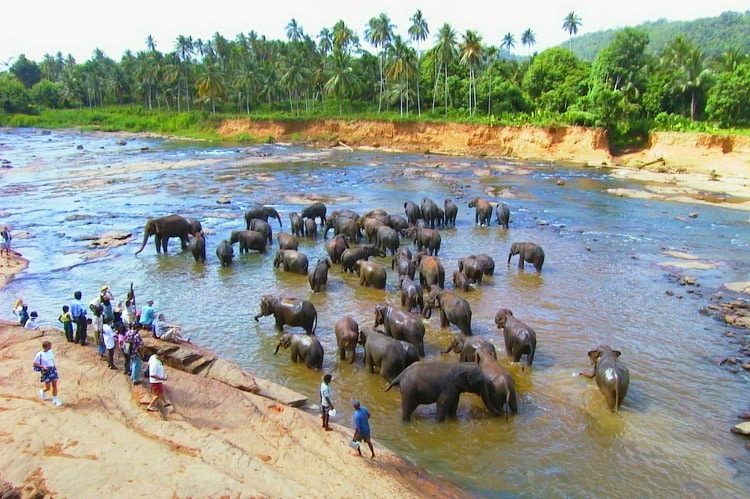 Sri Lanka is one of top destinations for 2020 on TravelSquire