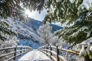 Aspen Culture on TravelSquire
