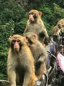 things to see in Hunan on TravelSquire