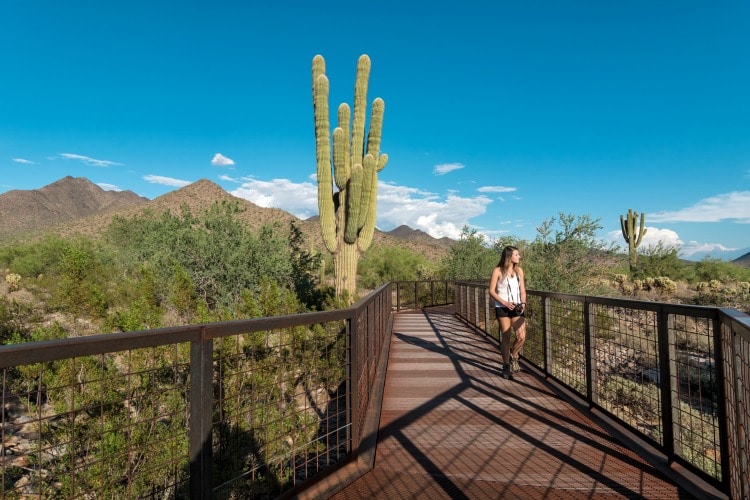Scottsdale highlights on TravelSquire