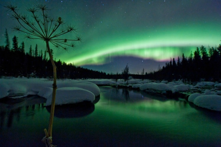 The Yukon is one of the best places to see the Northern Lights on TravelSquire
