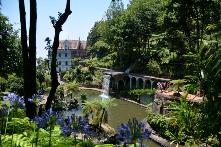 Things to do in Madeira on TravelSquire