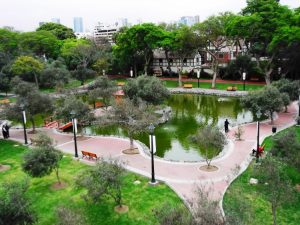 Bosque El Olivar on TravelSquire
