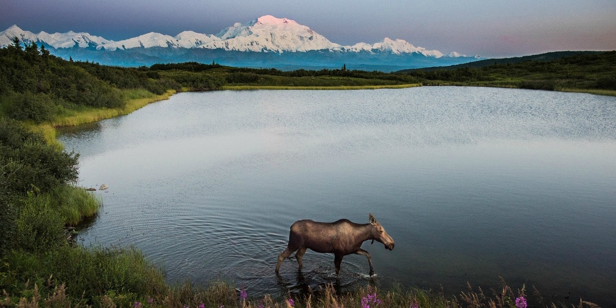 USA National Parks 