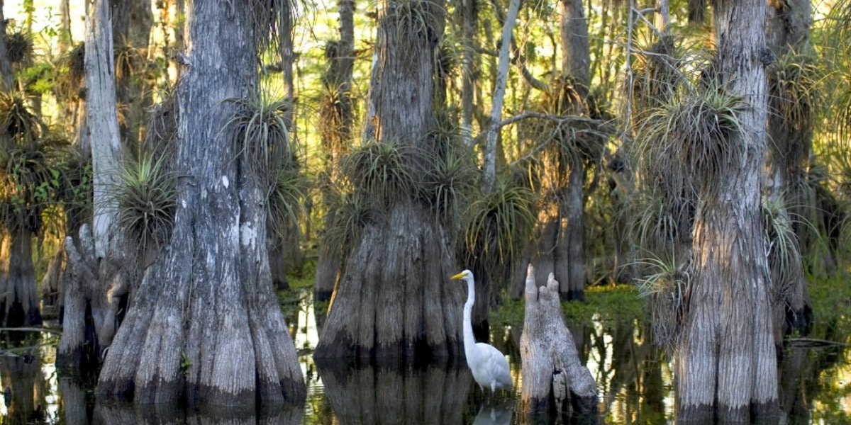 USA National Parks 