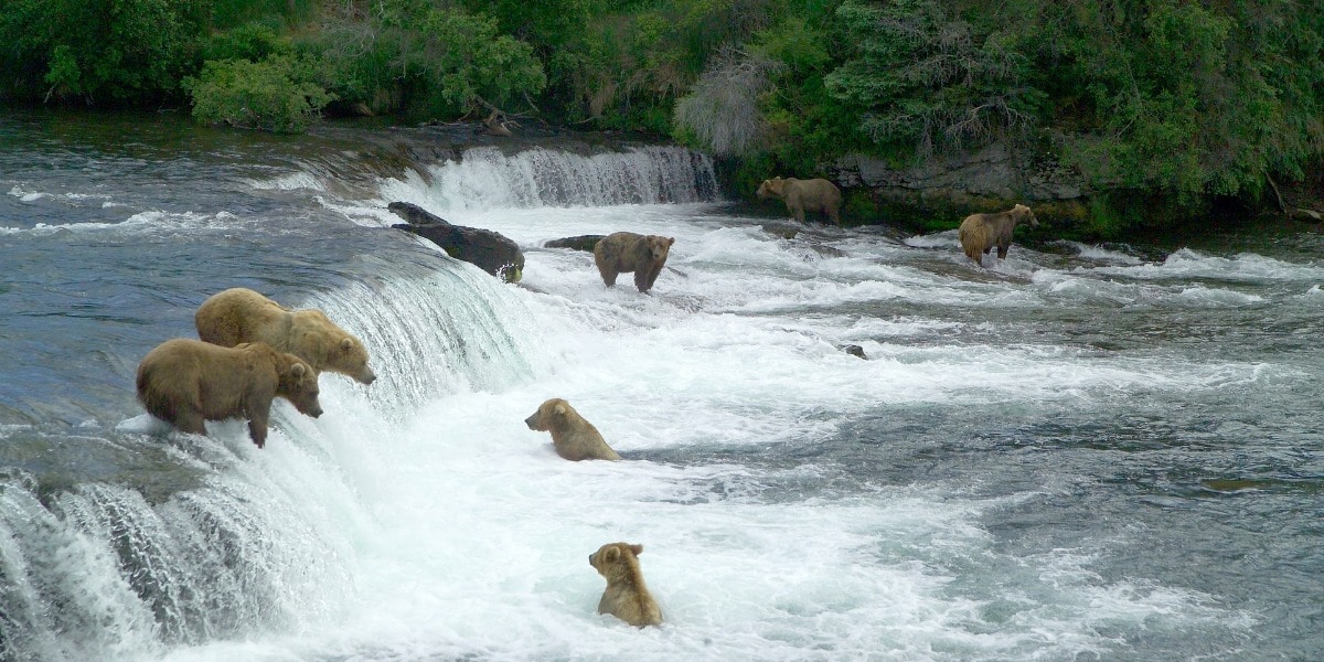 USA National Parks 