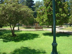 Bosque el Olivar on TravelSquire