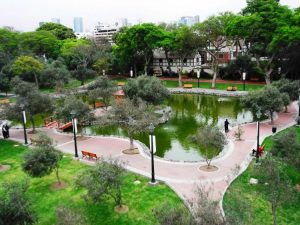 Boque el Olivar in Lima on TravelSquire