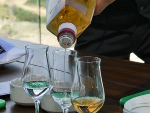 Tequila Tasting at Vista Escantada on TravelSquire