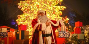 Holiday Lights around the World on TravelSquire