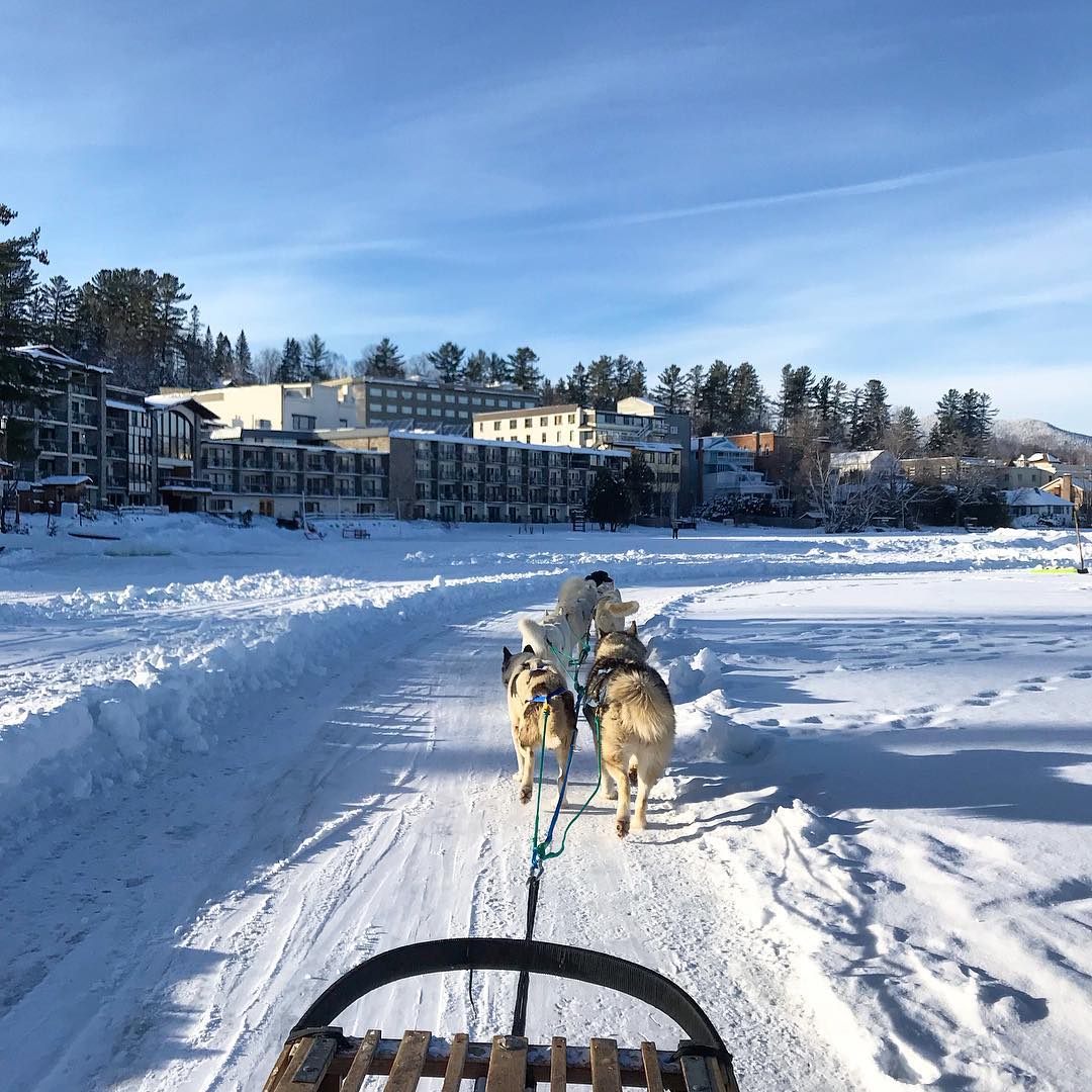 Dog Sledding in Lake Placid on TravelSquire