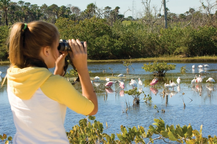 Birdwatching on Florida's Space Coast | TravelSquire