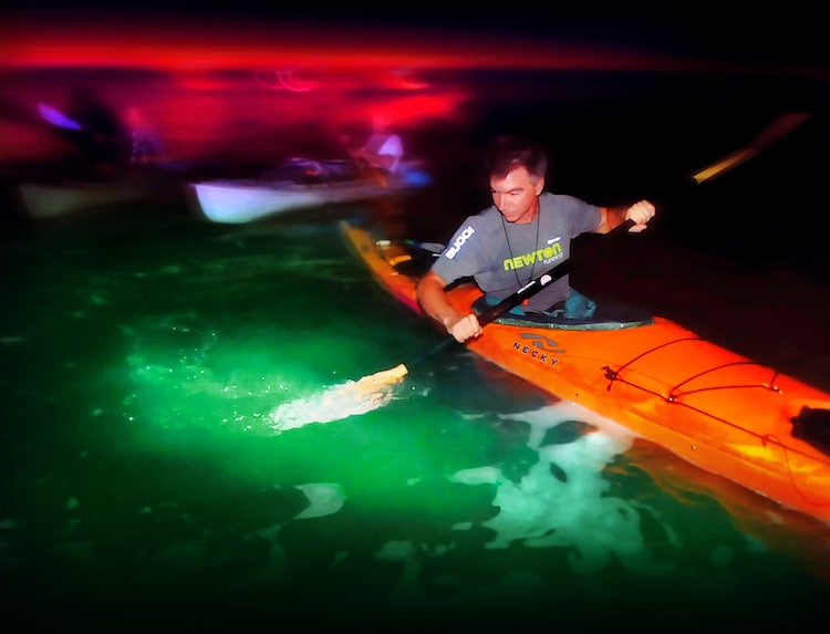 Biolum Kayak on Florida's Space Coast - TravelSquire
