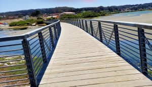 Reclaimed wetlands at the San Francisco Presidio on TravelSquire