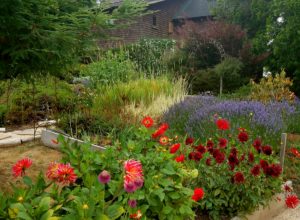 Secret Gardens at The Brewery Gulch Inn