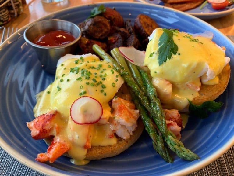 Maine Lobster Benedict Travel Squire