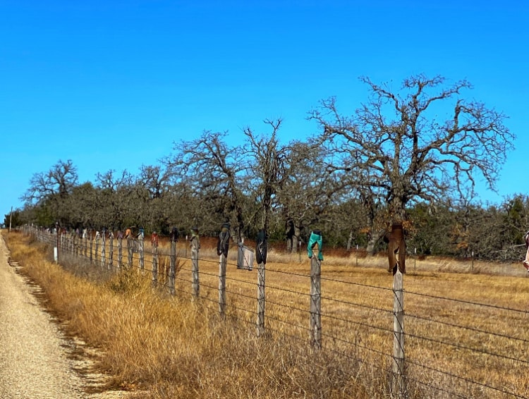 Exploring Austin and the Texas Hill Country