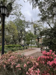 Savannah Square