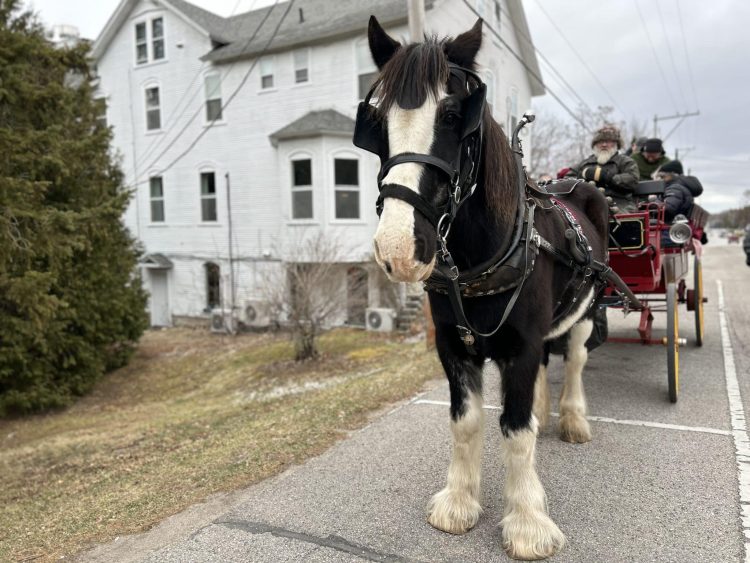 Mayberry Carriage Rides in Door County