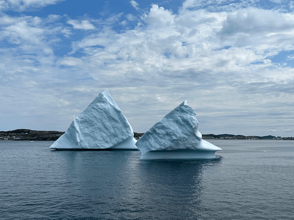 Twillingate icebergs