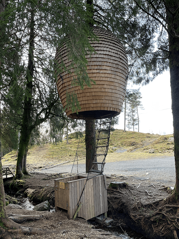 Beehive accommodations, Mount Floyen, Bergen