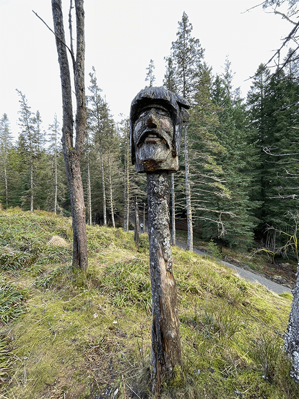 Forest Troll - Bergen