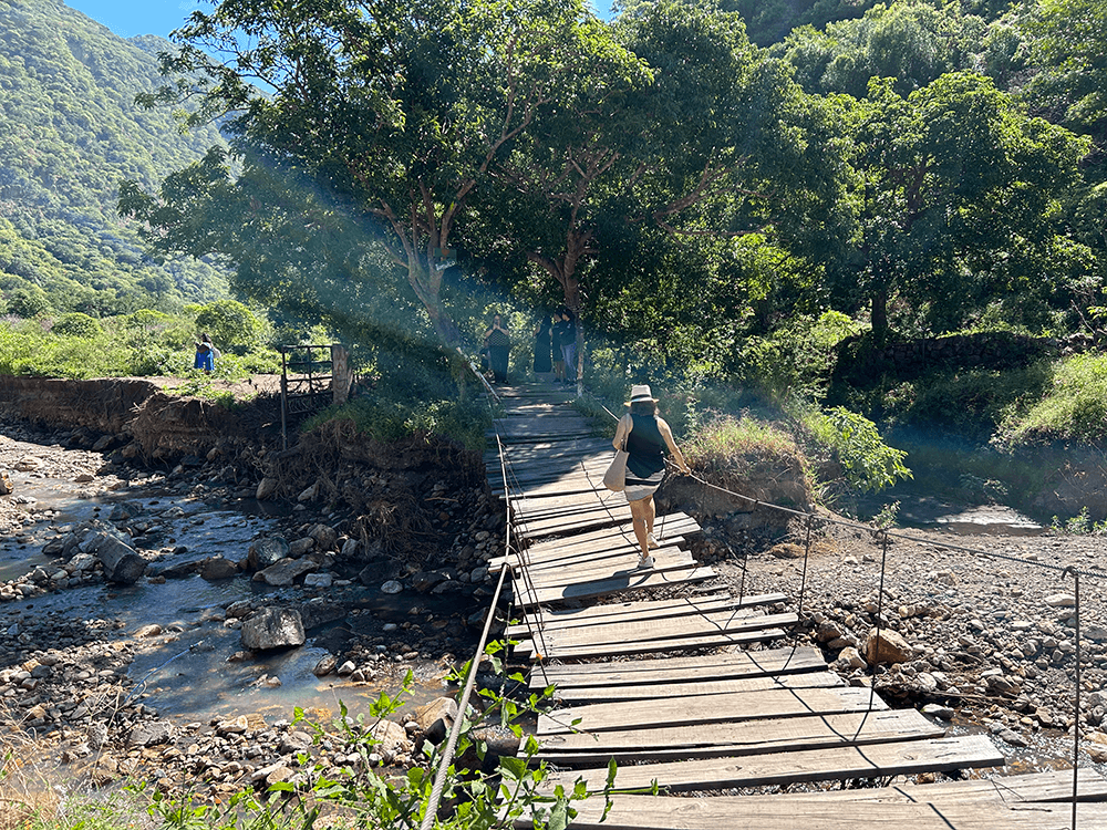 Swinging bridge to reach waterfall, Mexico