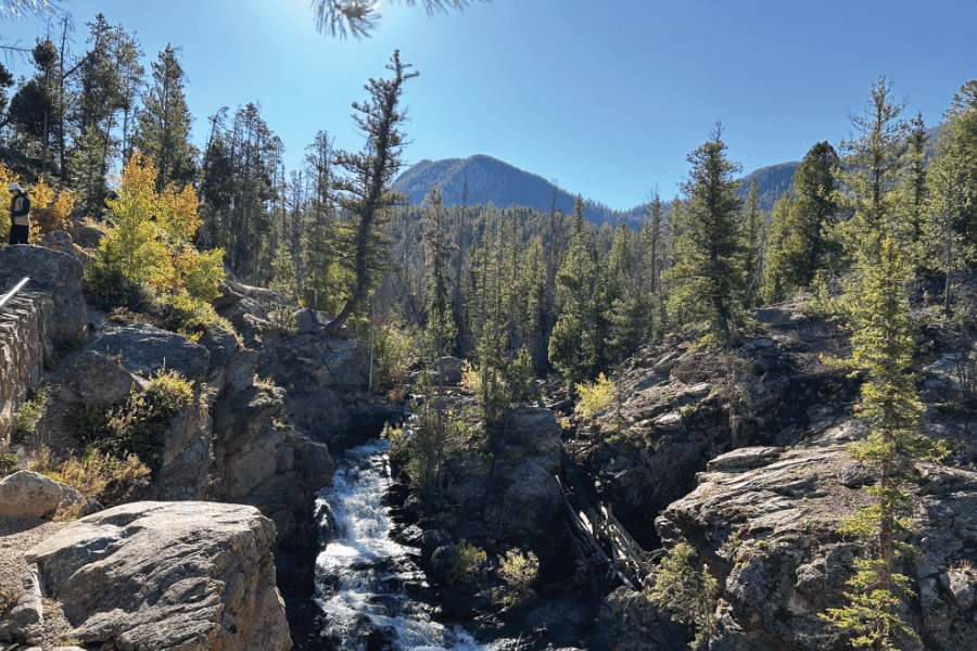 East Inlet Trail