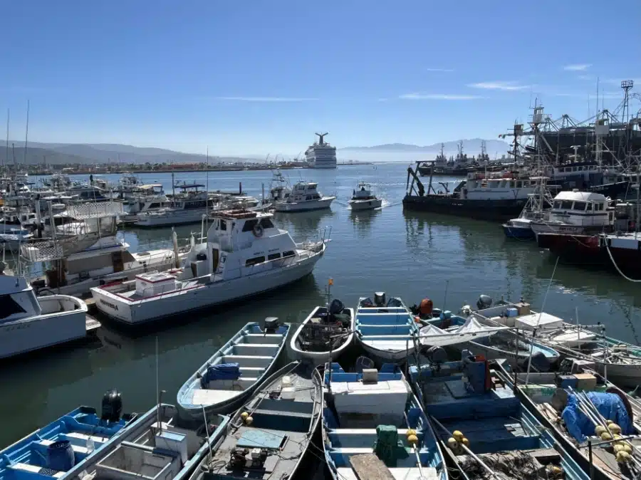 View of harbor from Malecon