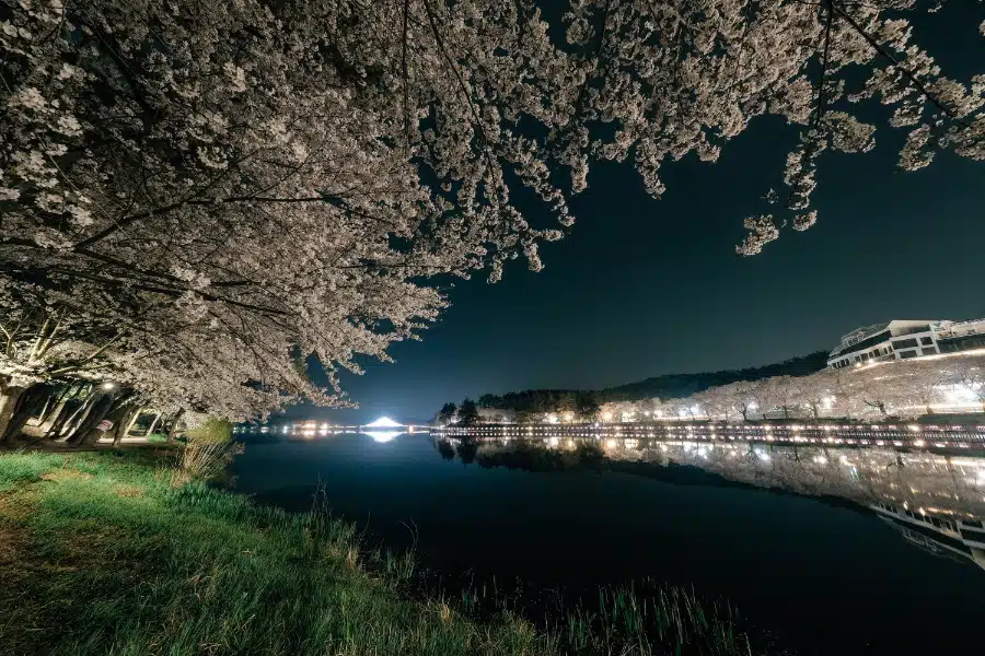 insung-yoon-cvUhPvNlJMA-unsplash