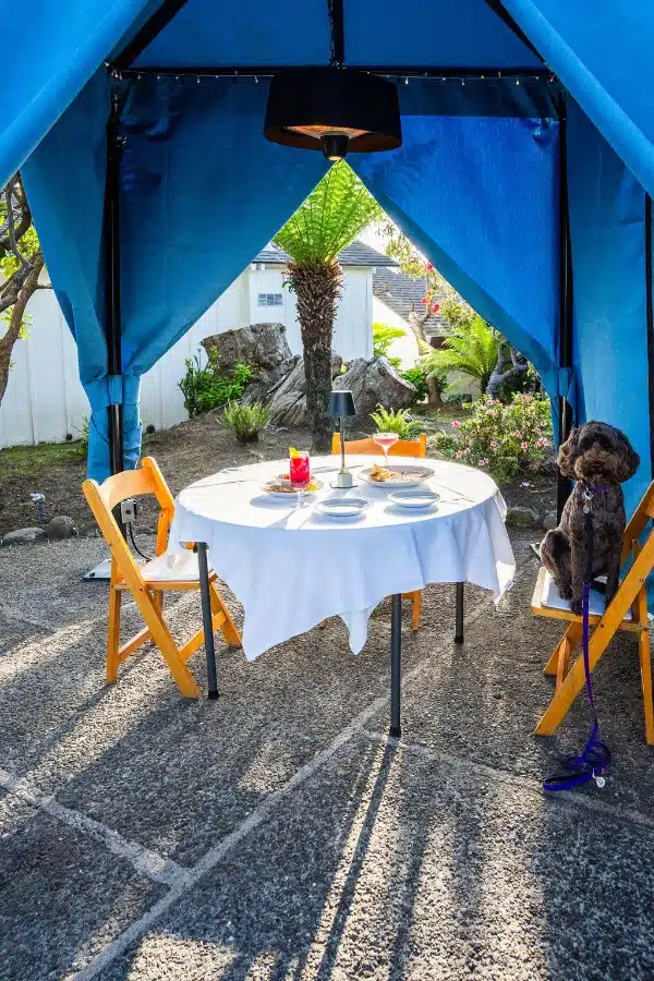little-river-inn-pet-cabanas-so-owners-can-dine-outside-with- furry-oved-ones
